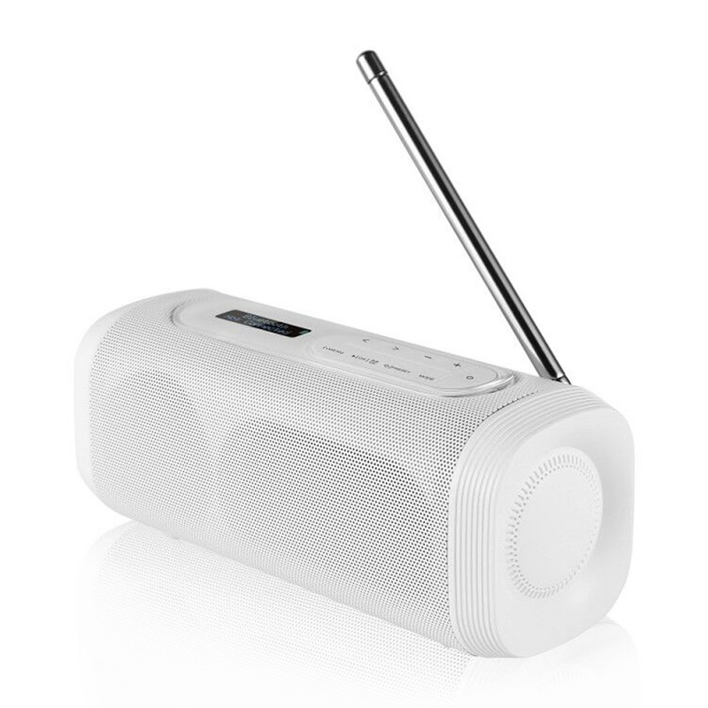 Enceinte nomade Bluetooth Radio DAB+ - MY SPEAKER+